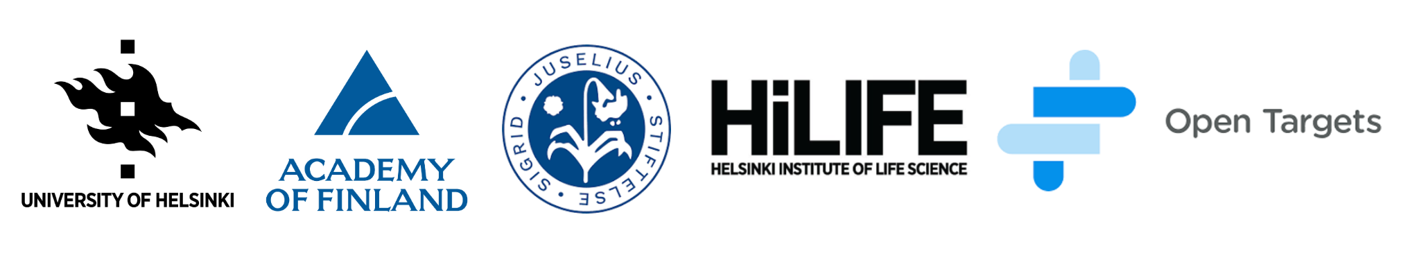 University of Helsinki